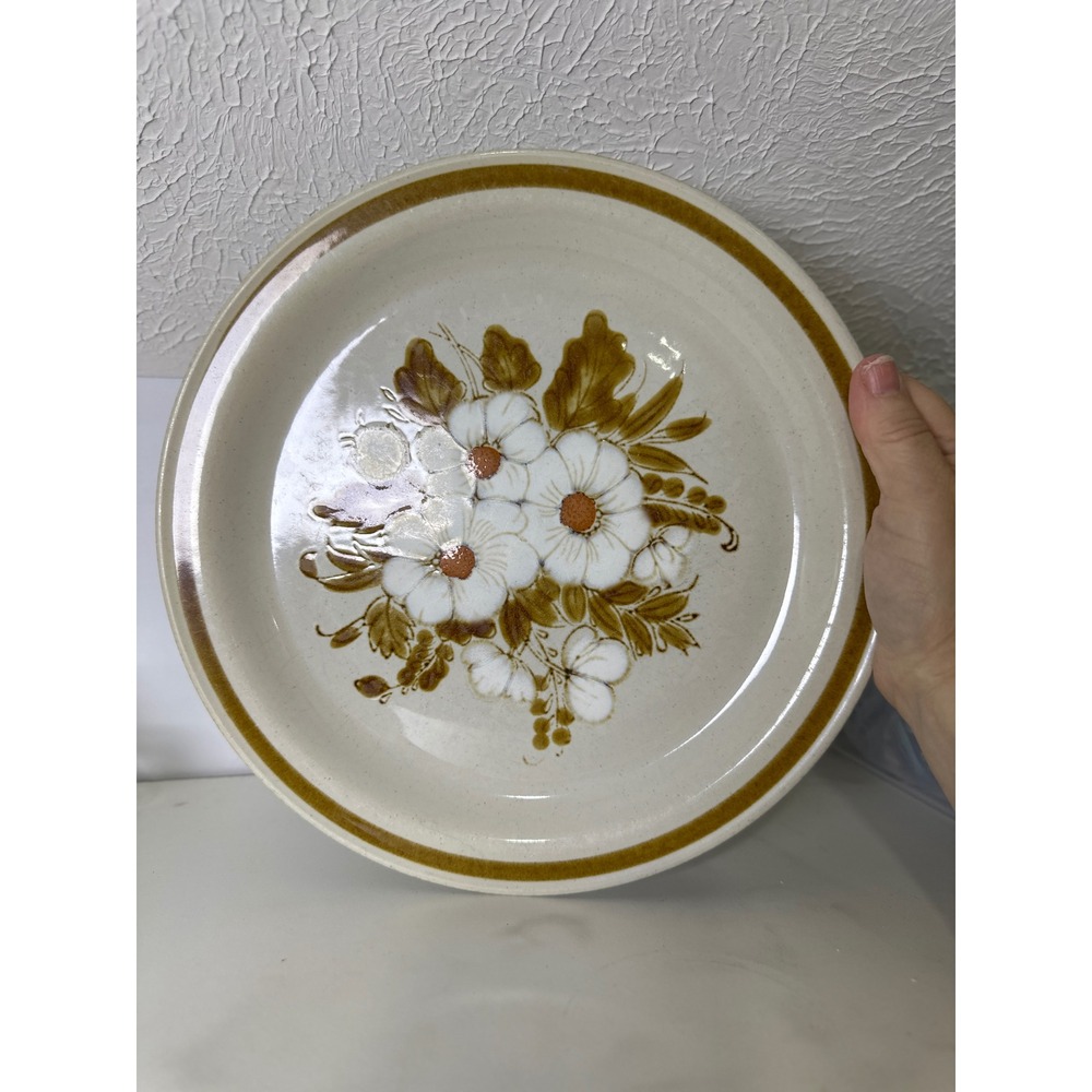Mountain Wood Collection Dried Flowers Stw 2 Dinner Plate Japan Vintage Brown